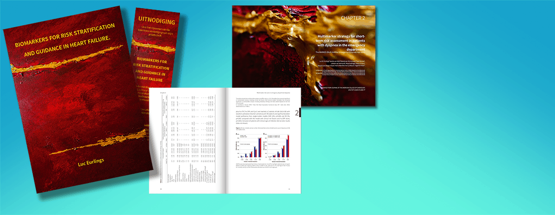 PhD Thesis Luc Eurlings