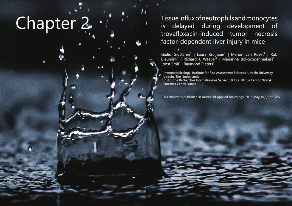 National library thesis and dissertation image