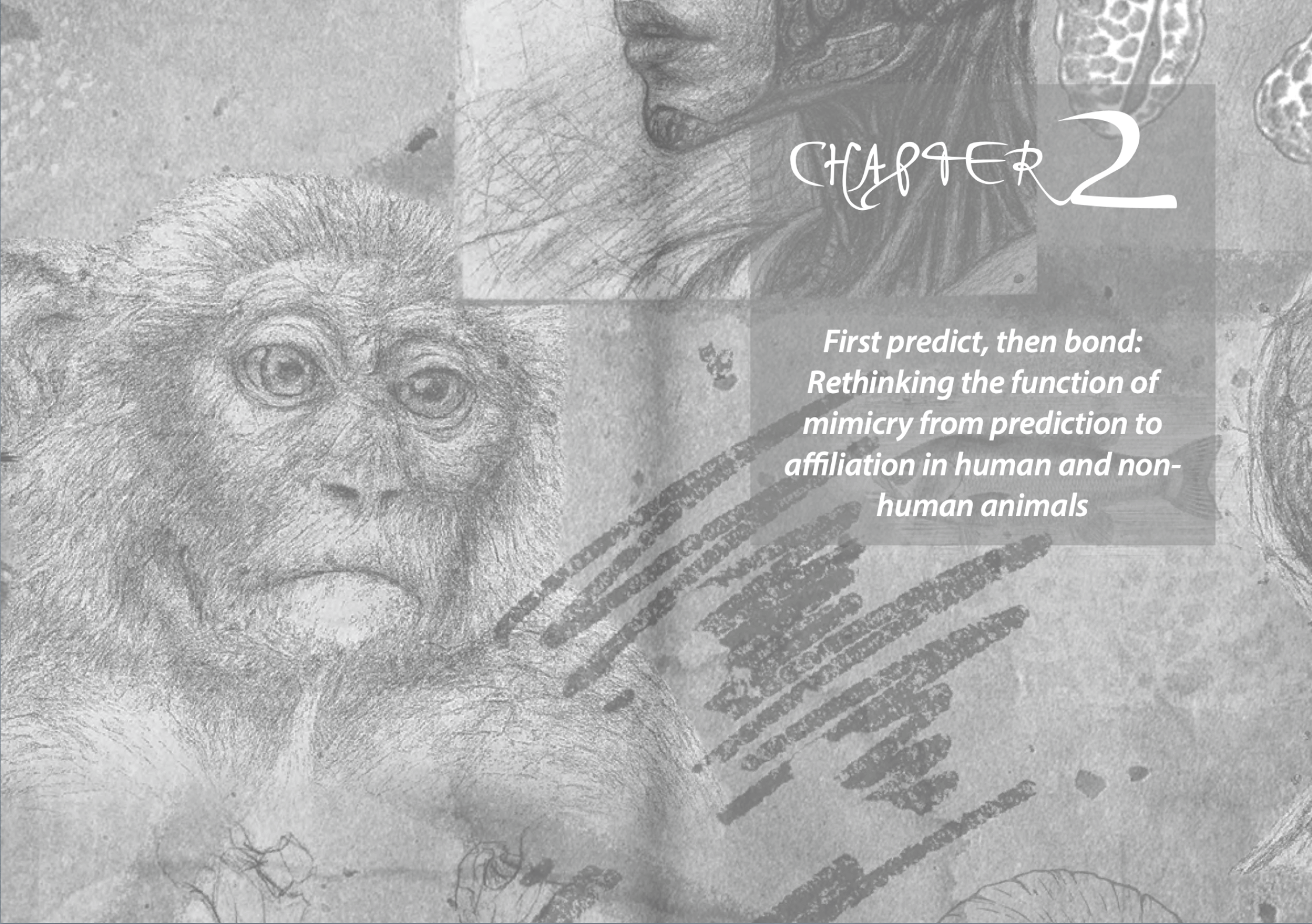 chapter 2 Interactional Beings Fabiola Diana